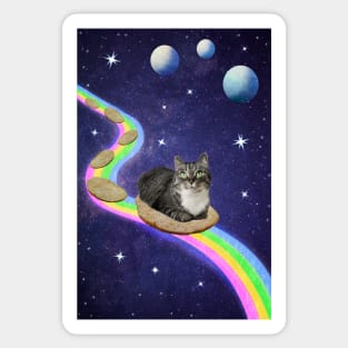 Cute cat in Space Sticker